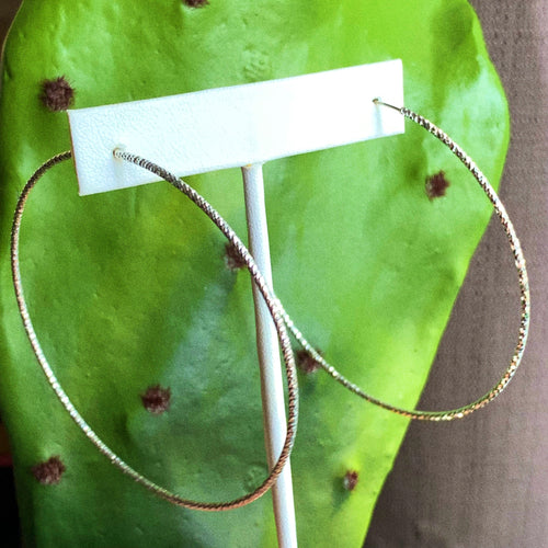 Large Silver Hoops